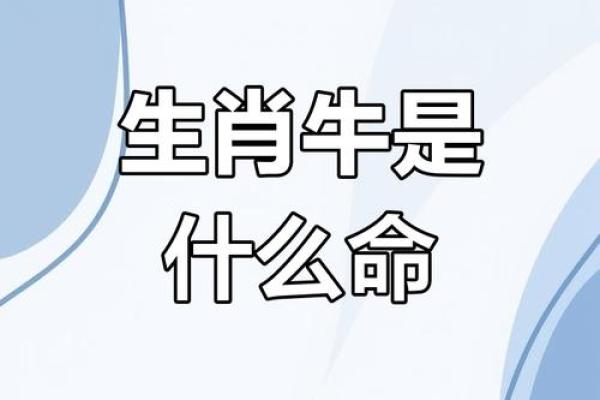 3021年牛的命运：探索岁月长河中的生肖智慧与人生哲学