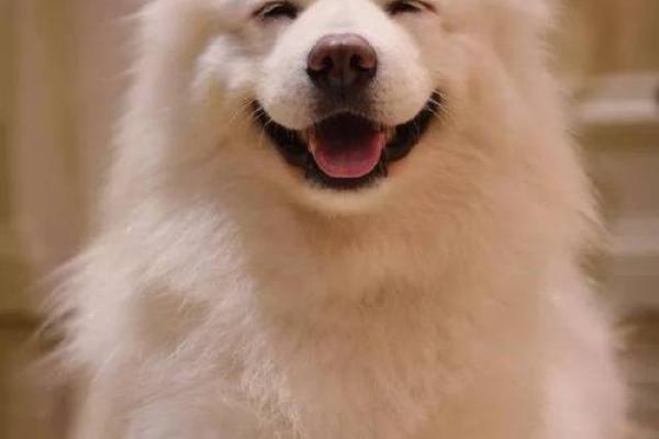 白蜡金命男的最佳配命，助你事业与爱情双丰收！