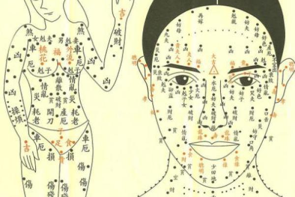 揭秘旺夫命格：如何识别有福气的女性