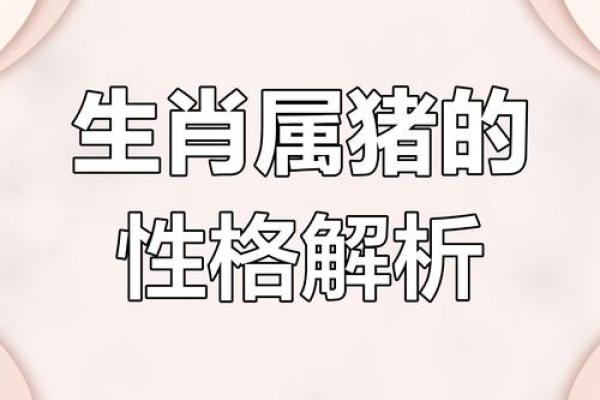 2007年出生的猪属什么命？揭秘命运与性格的关系