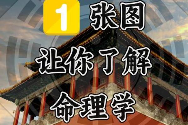 探索基础命理学的奥秘：了解你的命运与性格特征