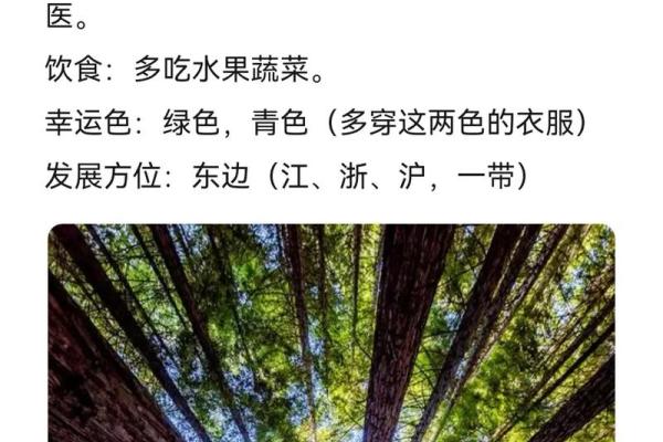 探寻木命人的喜好与禁忌，提升生活与事业的智慧