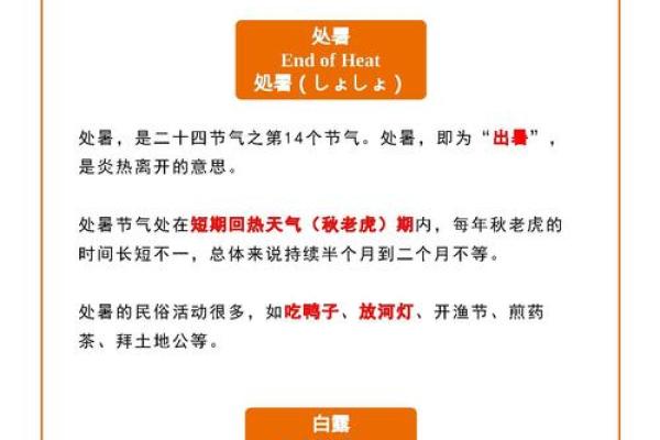 大雪节气出生的人，命运的秘密与智慧的启示