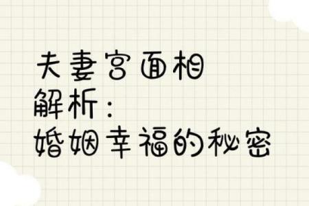 什么人什么命最好婚姻，揭示幸福婚姻的秘密