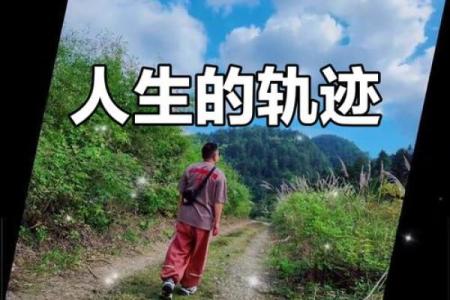 92年猴命解析：智慧与机遇并存的人生旅程