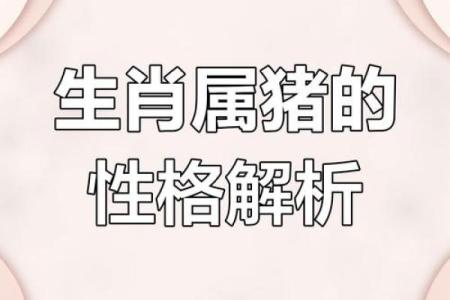 2007年出生的猪属什么命？揭秘命运与性格的关系