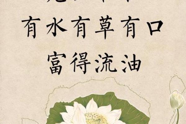 属兔水命的五行喜好与生活智慧