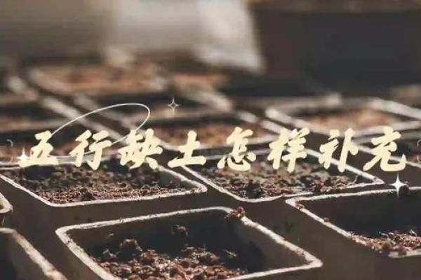 路旁土命特征及其所缺属性解析：让生活更和谐！