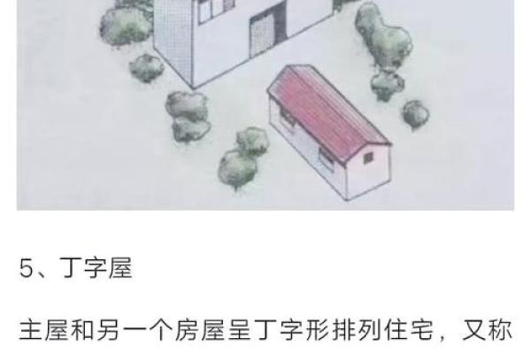 适合木命人的墓地选择与布局指南