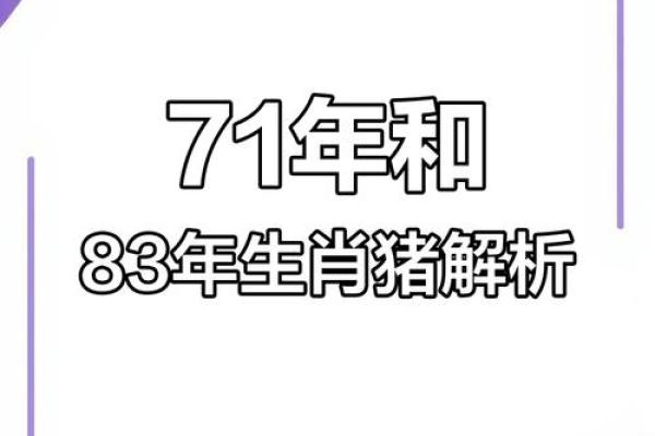 八零后属猪的人生运势与性格解析