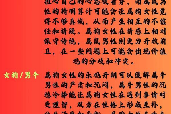 1982年出生的女性：生肖狗的命运与人生智慧
