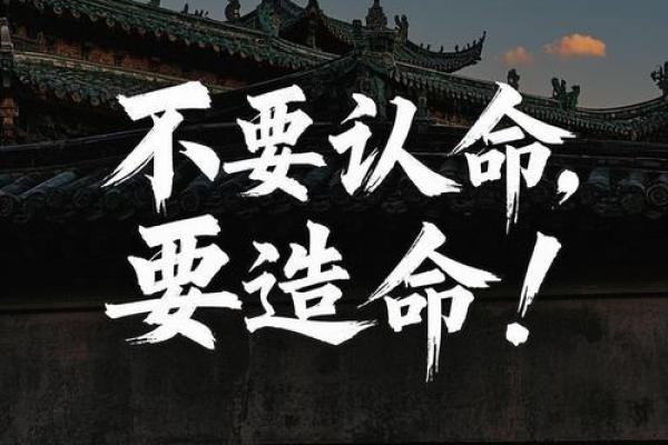 一条命九条命：生命的珍贵与生存的智慧