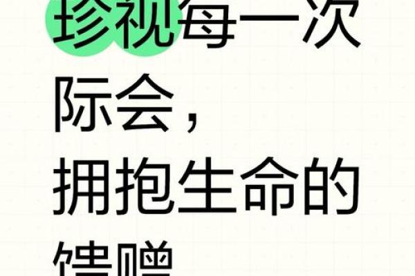 一条命九条命：生命的珍贵与生存的智慧