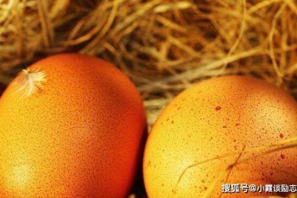 属鸡却是火龙命的奥秘：解密命理中的奇妙组合