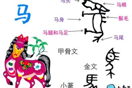 图形象征与成语的奇妙结合：提升汉字魅力的奥秘