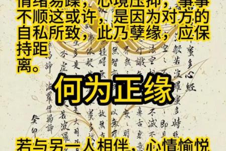 探寻道家命理：解码你的命运与人生之路