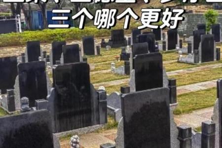 适合木命人的墓地选择与布局指南
