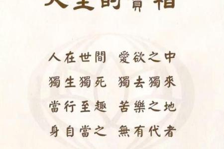 能善有为：探寻命运与财富的智慧之道