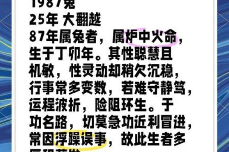 1951年属兔，命运与性格的深度解析