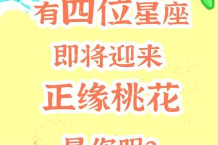 八大生肖的桃花运，谁最容易惹桃花？一起来揭晓！
