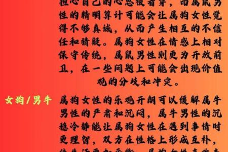 1982年出生的女性：生肖狗的命运与人生智慧