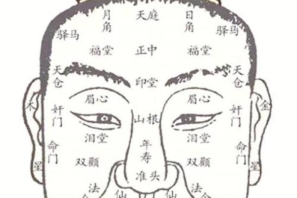 女人的面相与性格命运探究：从脸部特征看人生轨迹