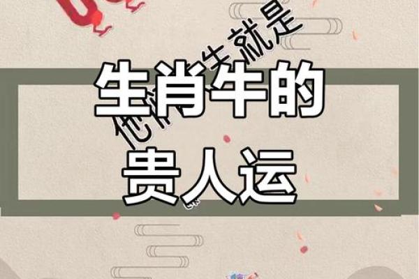 六一年出生的属牛人：踏实与稳健的命运之路