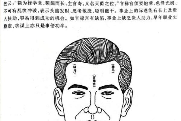 探寻天才面相：识别男性命运的面相特征与解析