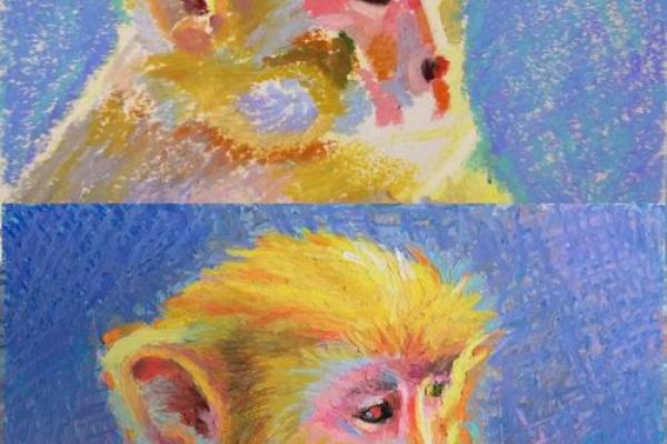 1992年出生的女猴：她们的命运与性格特点分析