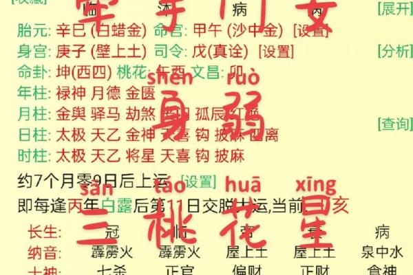 沙中土命人的最佳时辰与命理解析