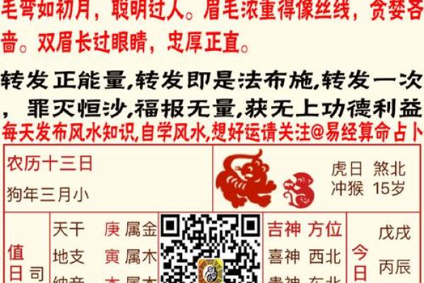 1994年4月28日出生的人命运与个性探析