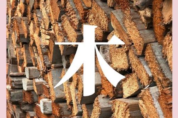 探索木命者的色彩密码：颜色与木命的和谐之道