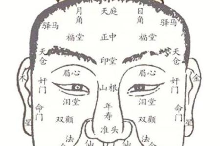 女人的面相与性格命运探究：从脸部特征看人生轨迹