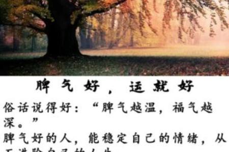 如何判断你今年的命运与运势，找到自己的幸运密码