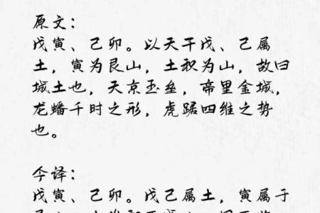 城头土命最旺颜色解析：助你掌握幸运之道