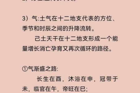沙中土命人的最佳时辰与命理解析
