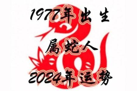1988年冬至出生的人生运势与性格解析