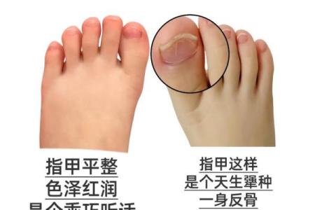 脚趾形状与命运解读：从小指到大拇指的神秘之旅