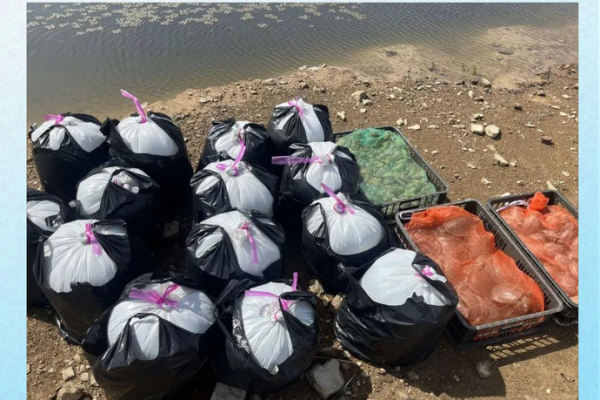 放生观念：为何放生能带来富贵命运与幸福人生