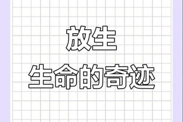 放生观念：为何放生能带来富贵命运与幸福人生