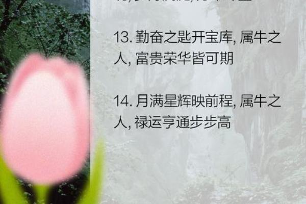 2010年属牛人的命运与性格解析，追寻牛年生人的成长之路