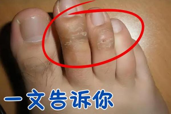 大脚趾上长毛的神秘寓意与命理解析，如何看待这一现象？