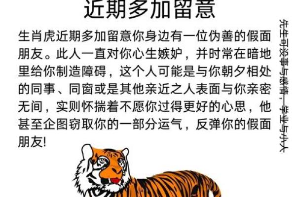 2010年：庚寅年，探寻虎年生肖运势与命理之奥秘