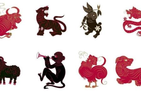 探索年份与生肖的奥秘：55年出生的人到底属于什么生肖与命运？