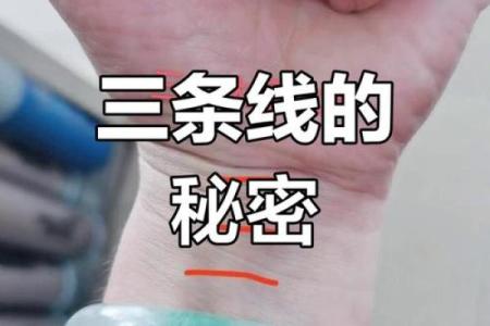 揭秘手腕测试：你未来命运的神奇暗示！