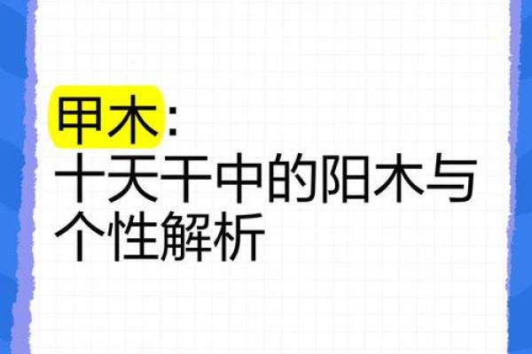 探秘命理之甲木：走进这个命格的人生魅力与挑战