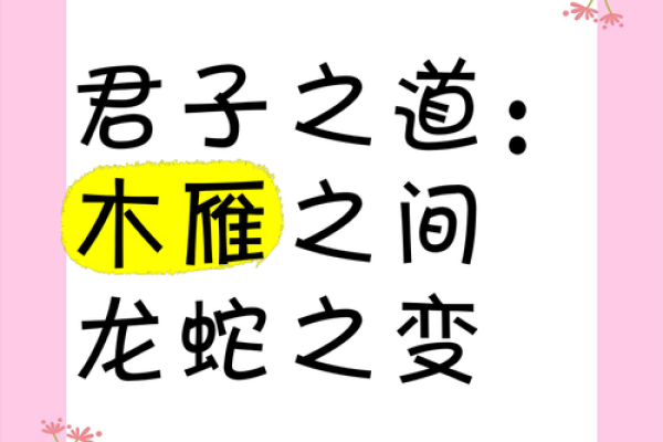 属相与君子命：细说十二生肖的君子之道