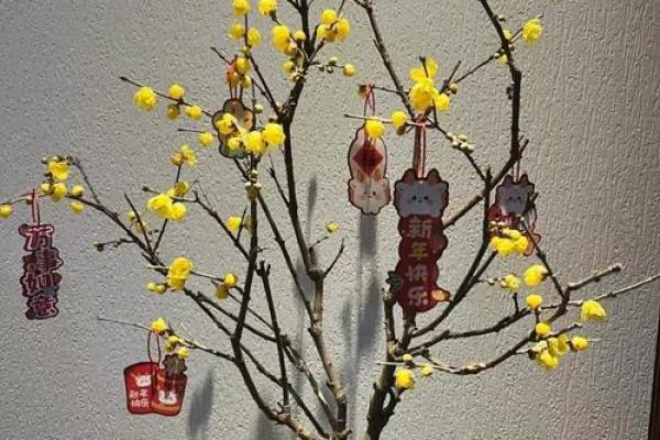 金命人适合种植哪些植物？探索五行中的金元素与园艺的完美结合！