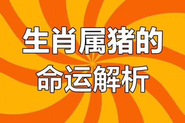 1970年属猪人的命运解析：财富与挑战并存的一生