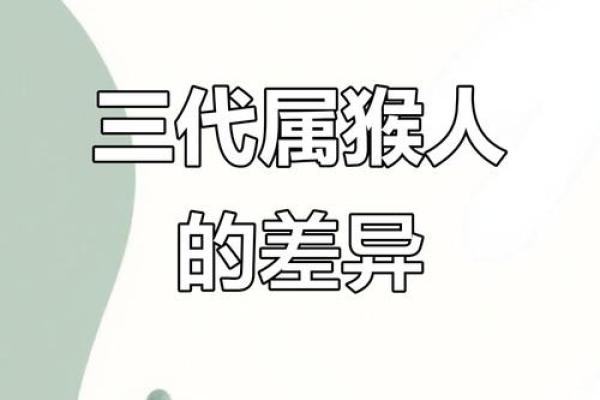 1992年属猴的命运与性格解析，深入了解猴年人的生活轨迹与性格特征
